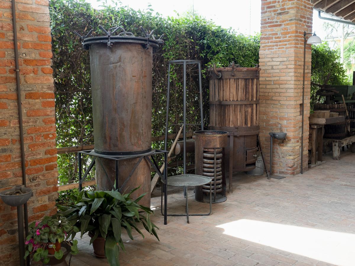 Agriturismo Il Palazzone Montegalda Экстерьер фото